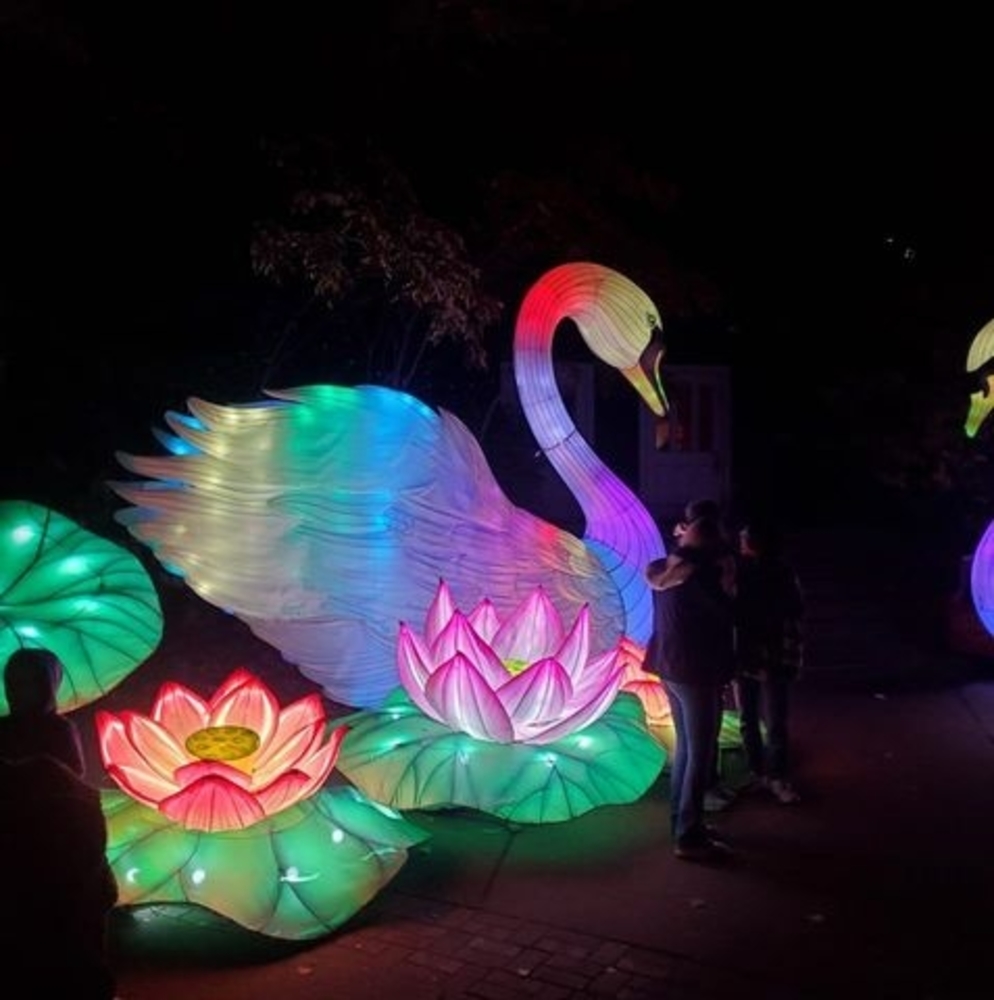 Meet your Posher, Denise